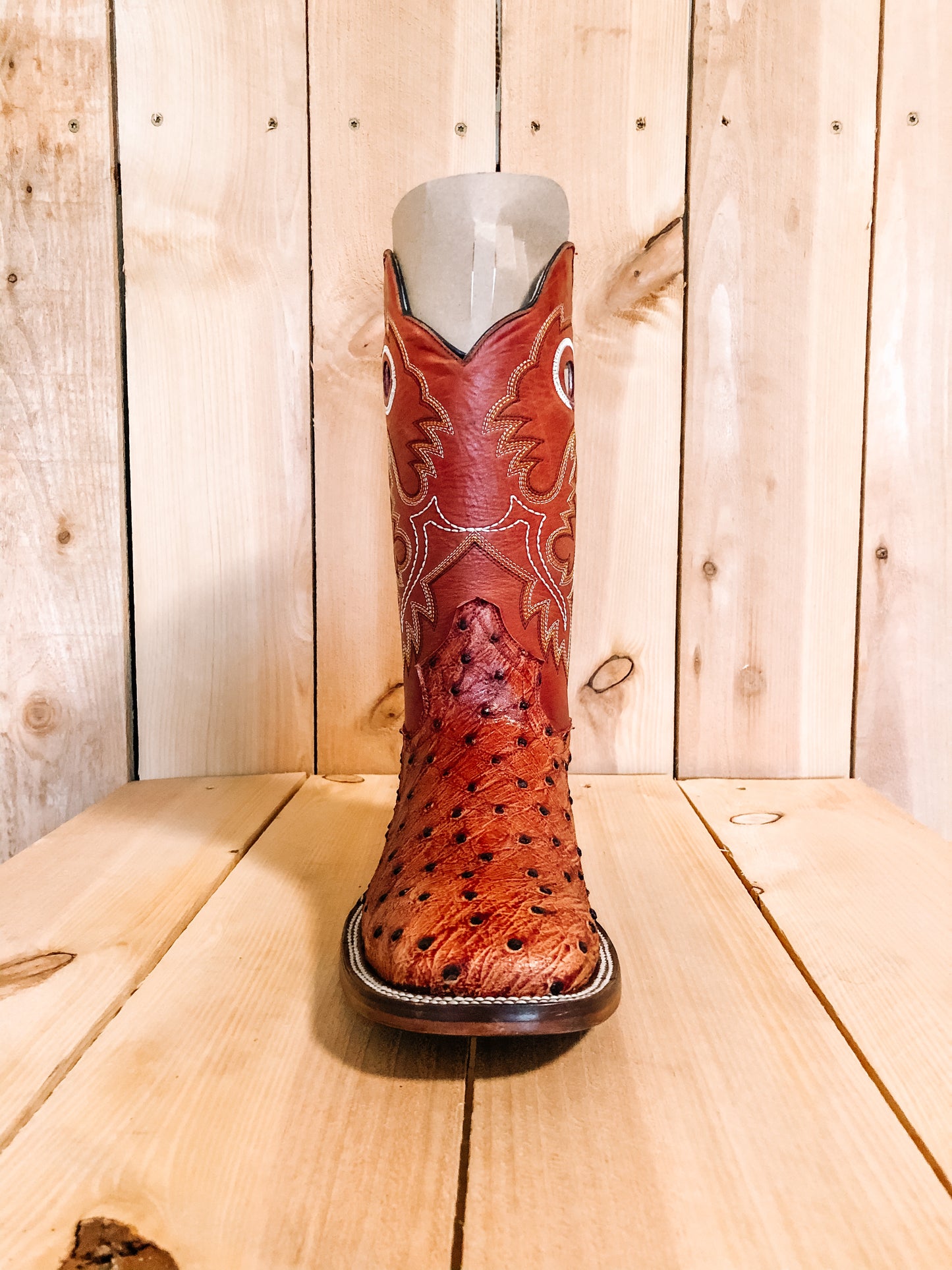 Orange/ Red Top Ostrich Print #0021