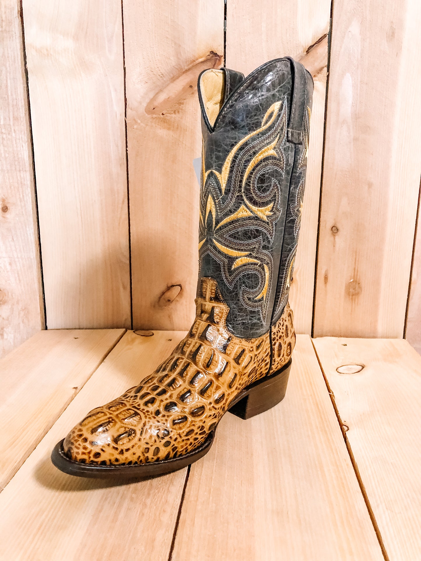 Gold Gator #0026