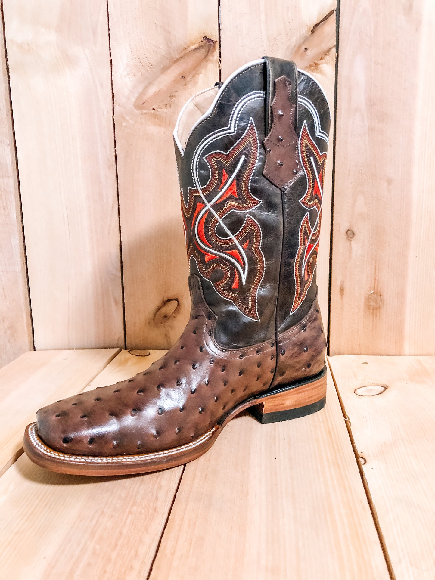 Ostrich Print Brown #0004