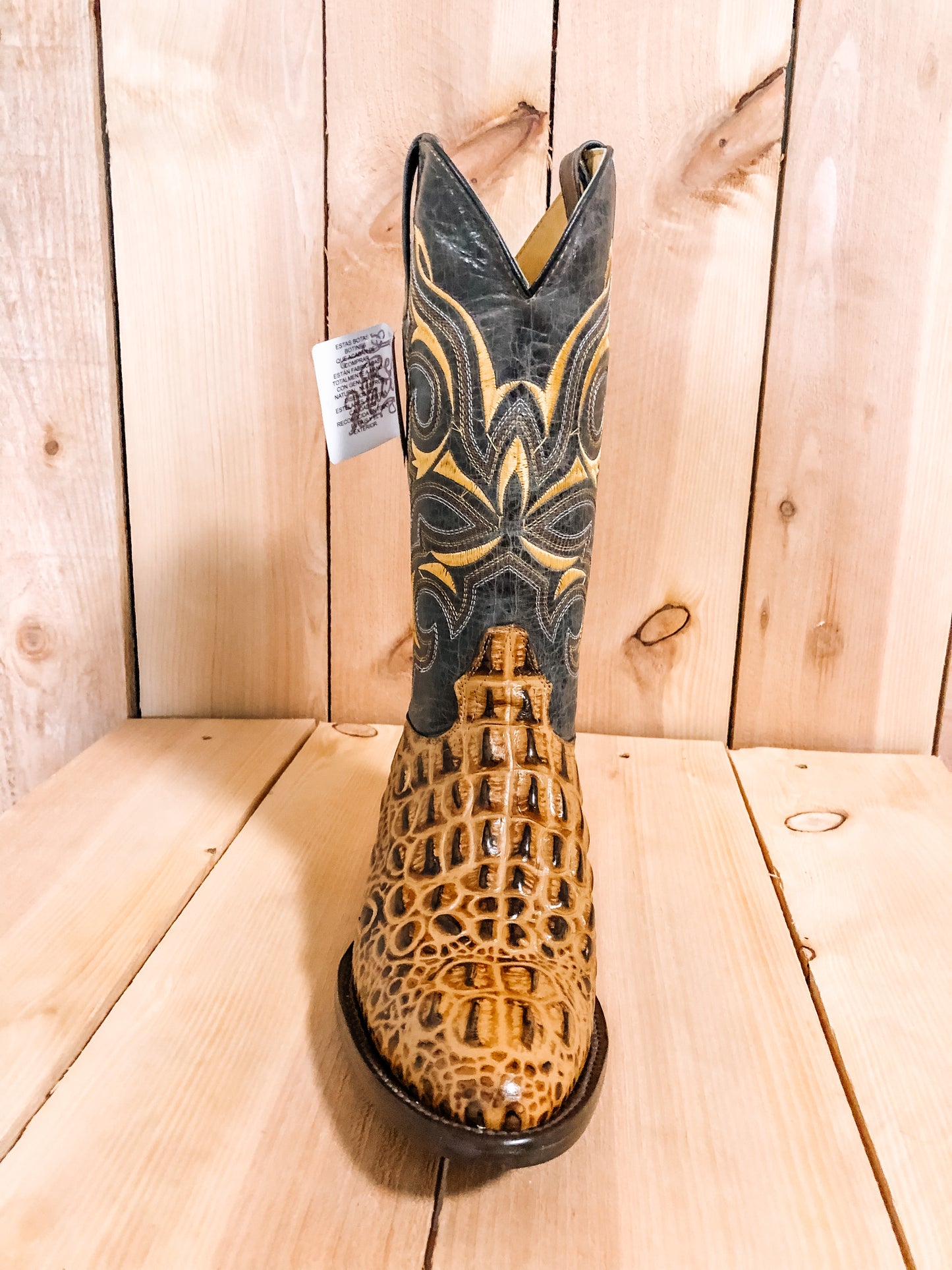 Gold Gator #0026
