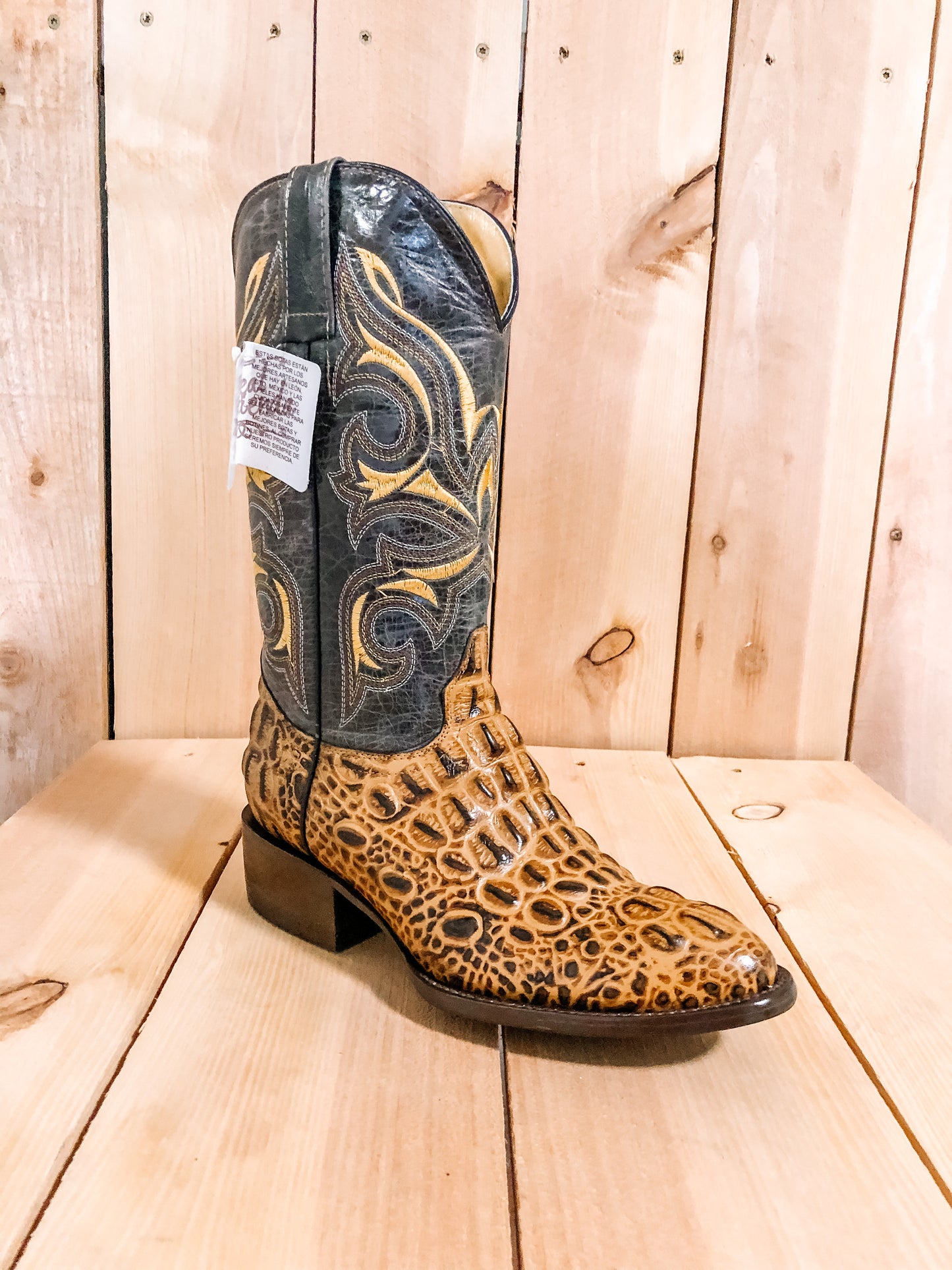 Gold Gator #0026