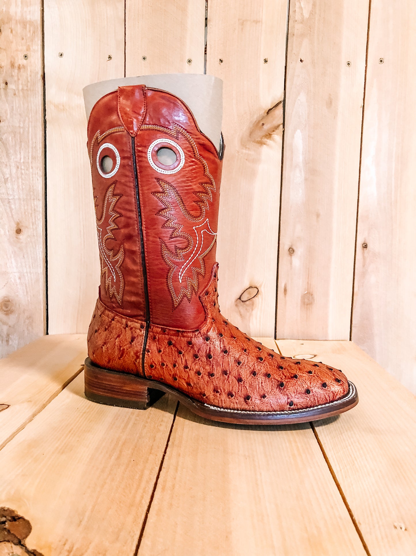 Orange/ Red Top Ostrich Print #0021