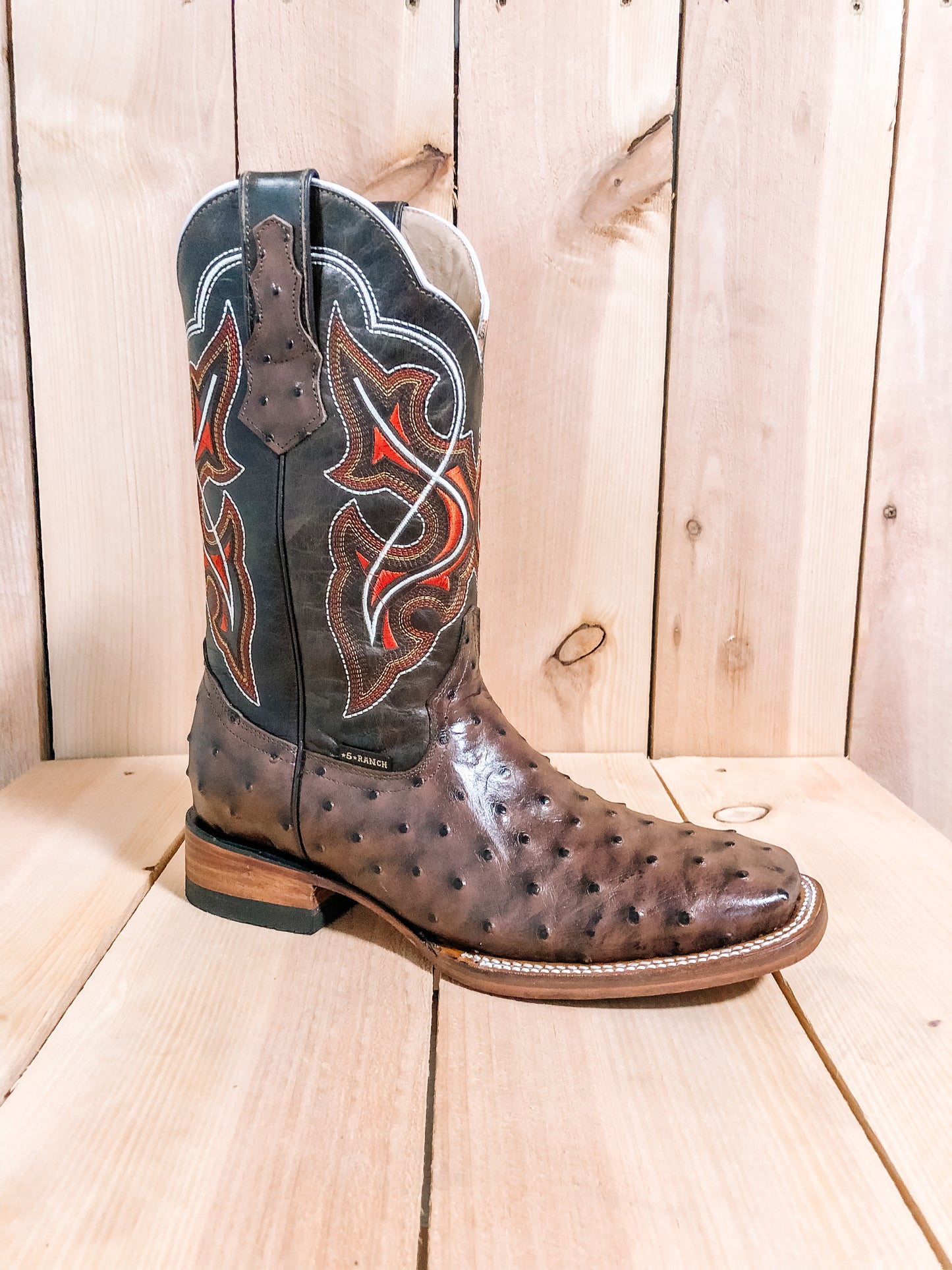Ostrich Print Brown #0004